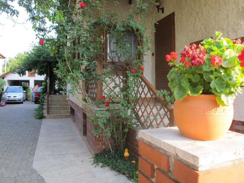 Foki Apartman Sopron Bagian luar foto
